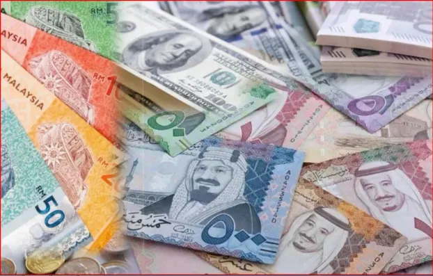 নিউজ ছবি