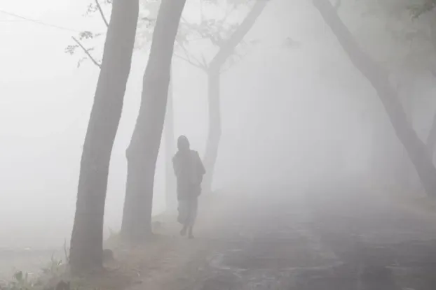 নিউজ ছবি