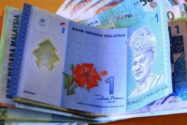 নিউজ ছবি