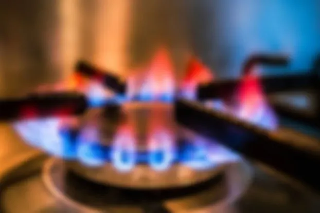 নিউজ ছবি