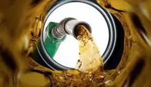 এবার সরকারি ডিপোতে মিলল তেলের অবৈধ মজুত, অতপর...