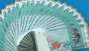 হু হু করে কমল মালয়েশিয়ান রিংগিতের বিনিময় হার