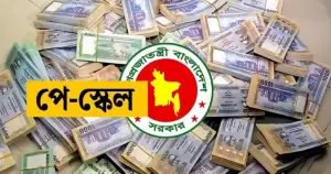 পে-স্কেল বাস্তবায়ন বড় অগ্রগতি, উচ্চপর্যায়ের কমিটি গঠন-নেতৃত্বে যারা