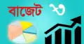 বাজেটে বাড়তে পারে যেসব পণ্যের দাম, নতুন করের বড় ধাক্কা!