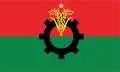 বিএনপির সম্পাদককে ছুরিকাঘাত