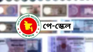 নতুন পে-স্কেল বাস্তবায়ন নিয়ে আসলে কী হচ্ছে? যা জানা গেল