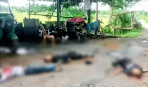 পৈশাচিক সশস্ত্র হামলা: ঘরে ঢুকে ঢুকে হামলা-শিশুসহ নিহত ৩০