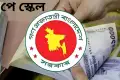 সরকারি চাকরিজীবীদের বড় সুখবর, যেভাবে বাস্তবায়ন হচ্ছে নবম পে-স্কেল
