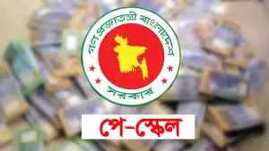 নতুন পে-স্কেলে বেতন নির্ধারণ যেভাবে, জানুন iBAS++-এ পে ফিক্সেশনের ধাপ