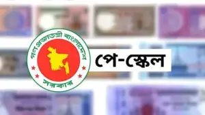 নবম পে স্কেলে এমপিও শিক্ষকদের জন্য সুখবর? বেতন ও বকেয়া নিয়ে যা জানা গেল