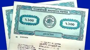 জমির দলিল থাকলেই কি মালিক হওয়া যায়? যা জানা জরুরি