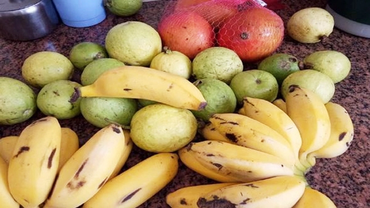 ওজন কমাতে সাহায্য করতে পারে ৬ ফল