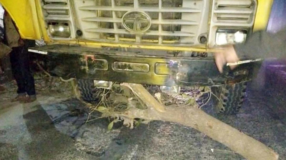 মধ্যরাতে সড়কে গাছ ফেলে ৪০টি গাড়িতে ডাকাতি