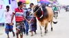 বাংলাদেশে ঈদুল আজহার তারিখ ঘোষণা : কতদিন সরকারি ছুটি থাকবে