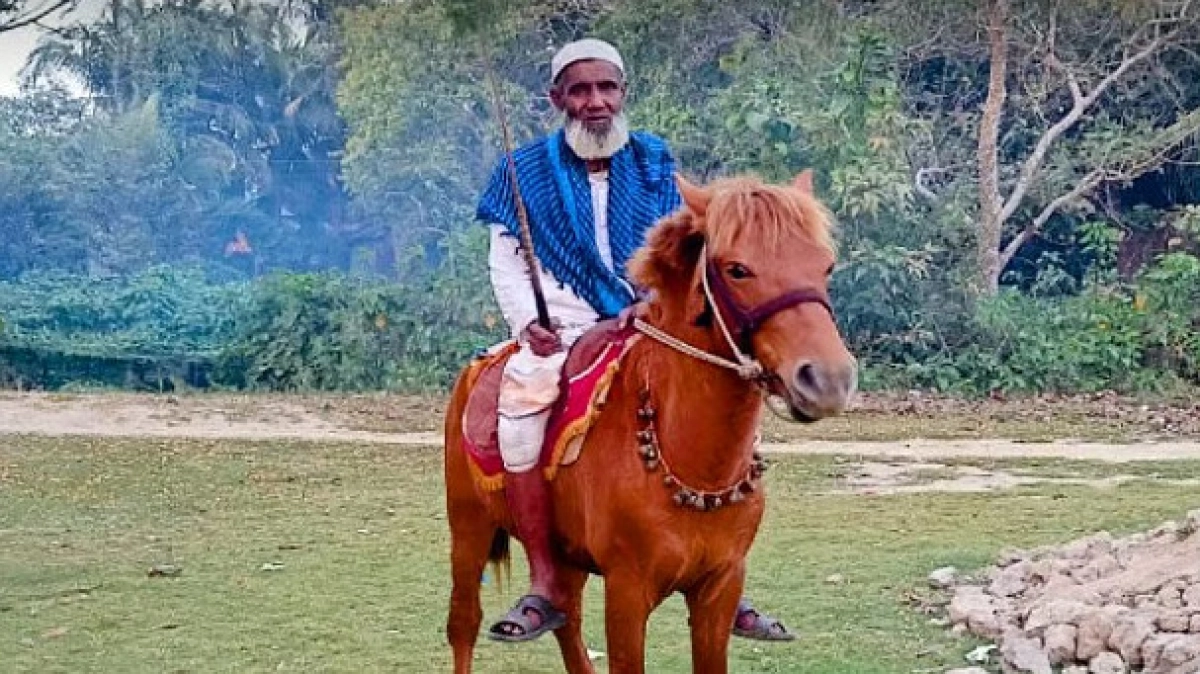 ৫০ বছর কবর খুঁড়ে যাওয়া মনু মিয়া মৃত্যুশয্যায়, প্রিয় ঘোড়ারও নির্মম মৃত্যু