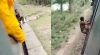 ট্রেনের নিচে পড়ে গেলেন, সবাই ভাবল শেষ! কিন্তু এরপর…