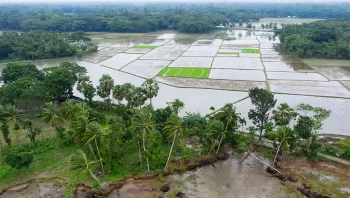 বাংলাদেশে বন্যার হুমকি: ৪ জেলার সামনে বিপদের মুখ