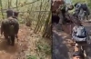 ভারতে মাওবাদীবিরোধী ইতিহাস গড়া অভিযান: ছত্তিসগড়ে নিহত ২৮ জন