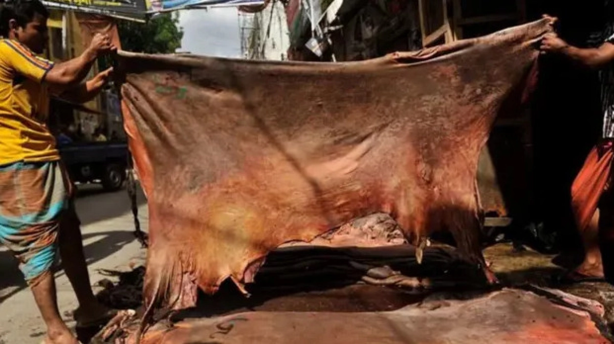 কোরবানির চামড়ার নতুন দাম ঘোষণা, ঢাকায় ১৩৫০ টাকা!