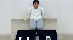 মাদকসহ জনপ্রিয় অভিনেত্রী গ্রেপ্তার
