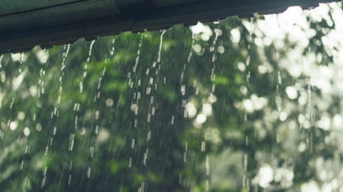 দেশজুড়ে ফের বৃষ্টির সম্ভাবনা
