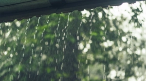দেশজুড়ে ফের বৃষ্টির সম্ভাবনা