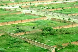 মাত্র ২ মিনিটেই জেনে নিন জমির আসল মালিক কে