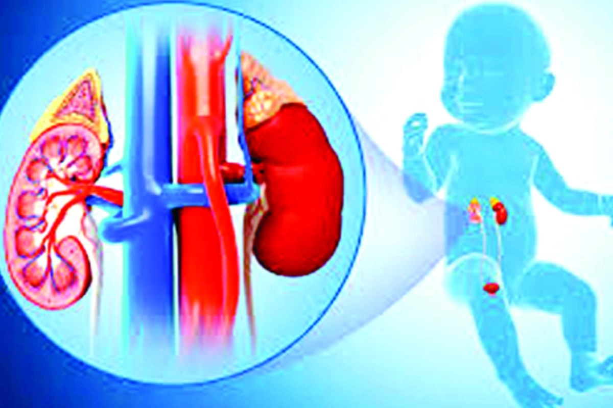 গর্ভে যে কারণে শিশুর কিডনি ফুলে যায়-জন্মের পর করণীয়