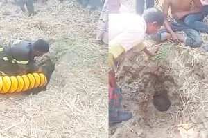 ৩০ ফুট গর্তে ২ বছরের শিশু: দেখুন রুদ্ধশ্বাস উদ্ধার অভিযানটি (ভিডিও)