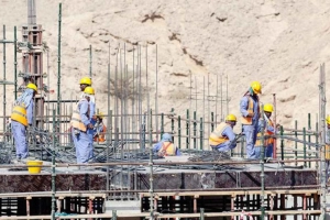 প্রবাসীদের জন্য বড় দুঃসংবাদ: ভিসা থাকলেই হবে না, লাগবে পেশাগত যোগ্যতার লাইসেন্স
