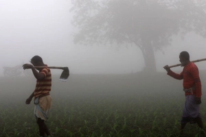 শৈত্যপ্রবাহের ভয়াবহ সতর্কতা: বৃহস্পতিবারে ৫ ডিগ্রিতে নামতে পারে যেসব অঞ্চলে
