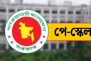 পে-কমিশন বনাম শিক্ষকদের স্বপ্ন: পে-স্কেল নিয়ে বড় দুঃসংবাদ
