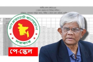 নবম জাতীয় পে-স্কেল নিয়ে সর্বশেষ আপডেট: যা জানালেন অর্থ উপদেষ্টা
