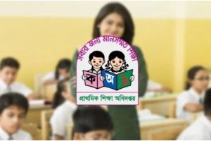 নতুন জাতীয় বেতন কাঠামো: প্রাথমিক শিক্ষকদের জন্য বড় সুখবর
