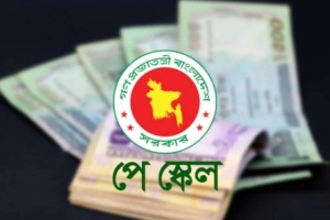 নবম পে-স্কেল বাস্তবায়ন না হলে ৭ দফা দাবিতে ফেব্রুয়ারিতে বিশাল আন্দোলন
