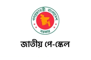 পে-স্কেল বাস্তবায়নের দাবিতে নতুন সংগঠনের আত্মপ্রকাশ: নেতৃত্বে রয়েছেন যারা
