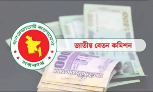 নবম পে-স্কেল: এমপিওভুক্ত শিক্ষকদের বেতন দ্বিগুণ হওয়ার আভাস
