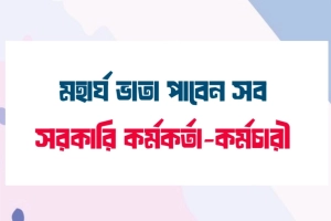 মহার্ঘ ভাতা ঘোষণা: সরকারি কর্মচারীদের বেতন বাড়ছে ৪ থেকে ৮ হাজার টাকা
