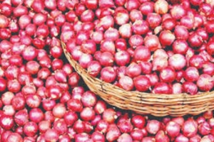 পেঁয়াজের দাম কমে এখন যত টাকা হল
