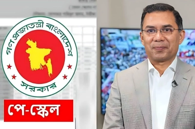 পে স্কেল: সরকারি কর্মচারীদের জন্য সুখবর দিল তারেক রহমান
