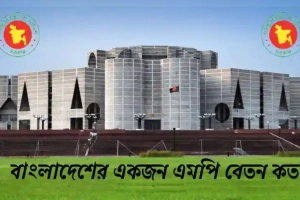 এমপিদের বেতন কত? এবারে যত ধরণের সুবিধা পাবেন একজন সংসদ সদস্য
