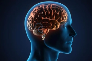 শহরের যান্ত্রিকতায় প্রশান্তির নতুন দাওয়াই ‘ব্লু হেলথ’: পানির সান্নিধ্য মস্তিষ্কের জন্য অপরিহার্য?
