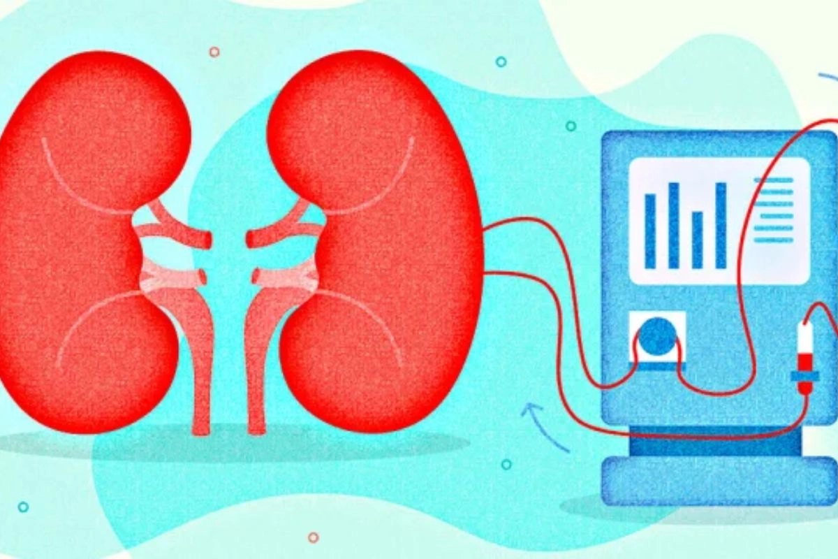 প্রতি ১০ জনে ১ জন ঝুঁকিতে: জানুন কিডনি সমস্যার আগাম সতর্কবার্তা
