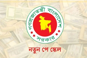 নতুন পে–স্কেল বাস্তবায়নে সরকারি চাকরিজীবীদের নতুন পরিকল্পনা
