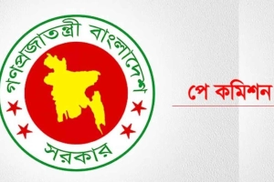 আজকের বৈঠকে পে স্কেল নিয়ে সর্বশেষ যা জানা গেল